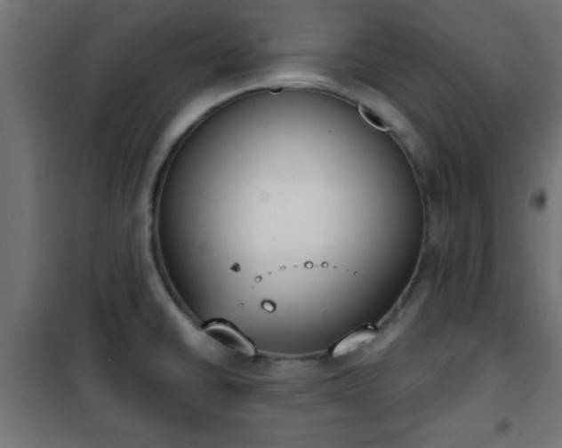 X0000101201430200807071304