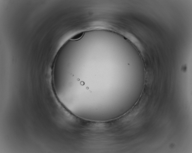 X0000101201431200807071304