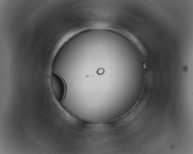 X0000101201432200807071304