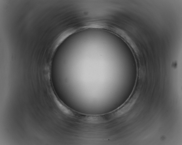 X0000101201433200807071304