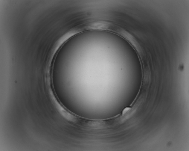 X0000101201434200807071304