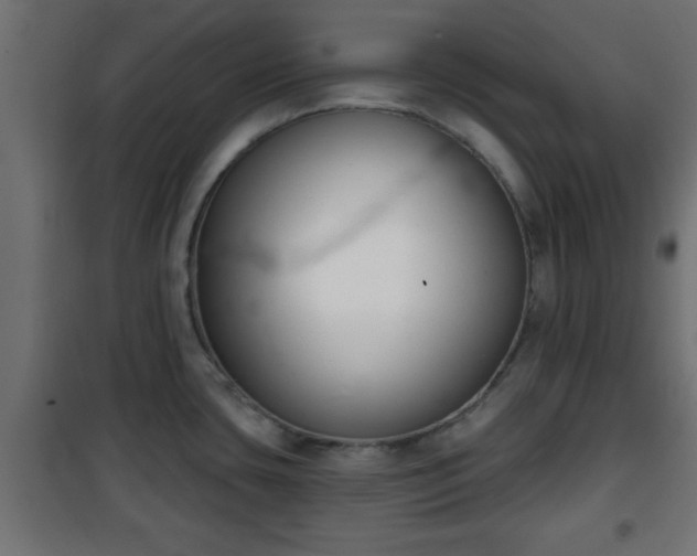 X0000101201435200807071304