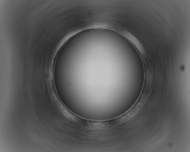 X0000101201436200807071304