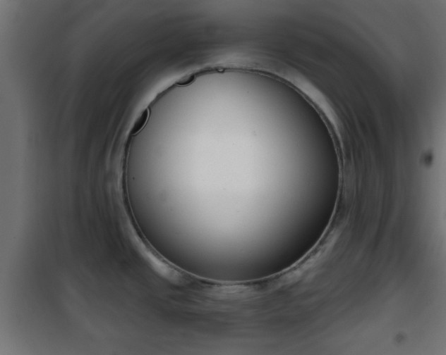 X0000101201437200807071304