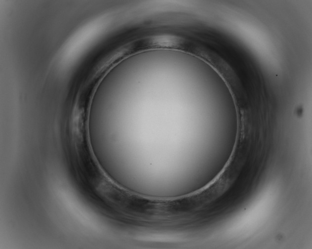 X0000101201438200807071304