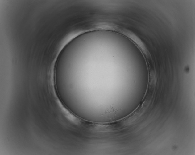 X0000101201439200807071304