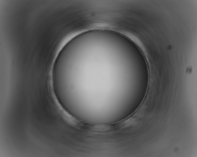 X0000101201440200807071304