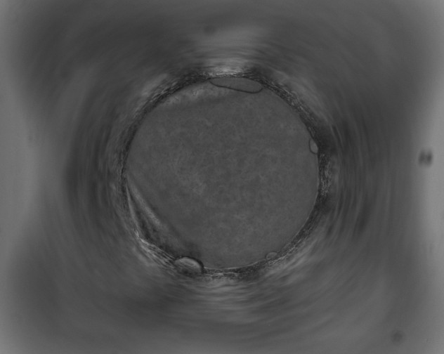 X0000101201441200807071303