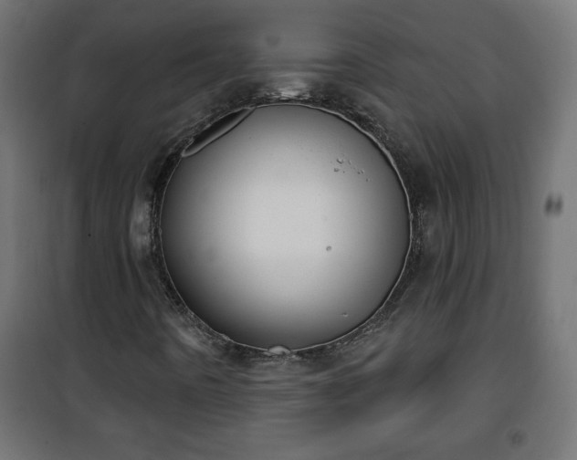 X0000101201442200807071303