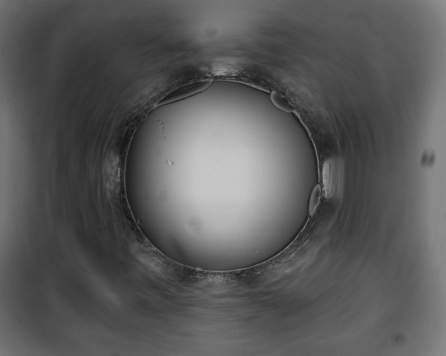 X0000101201443200807071303