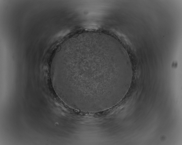 X0000101201445200807071303