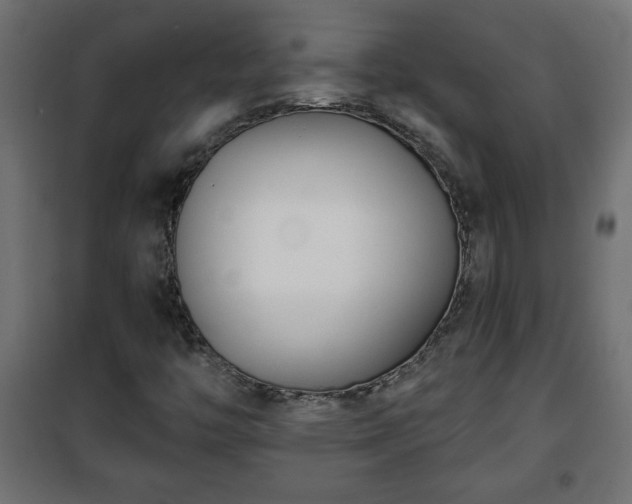 X0000101201446200807071303