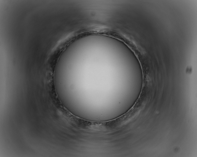 X0000101201447200807071303