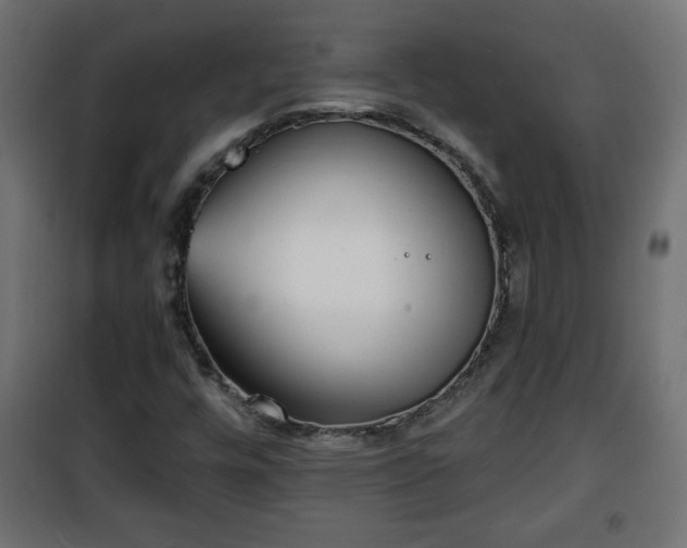 X0000101201448200807071303