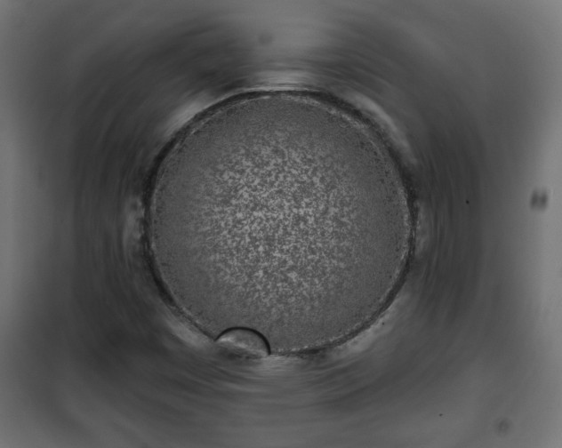 X0000101201449200807071303