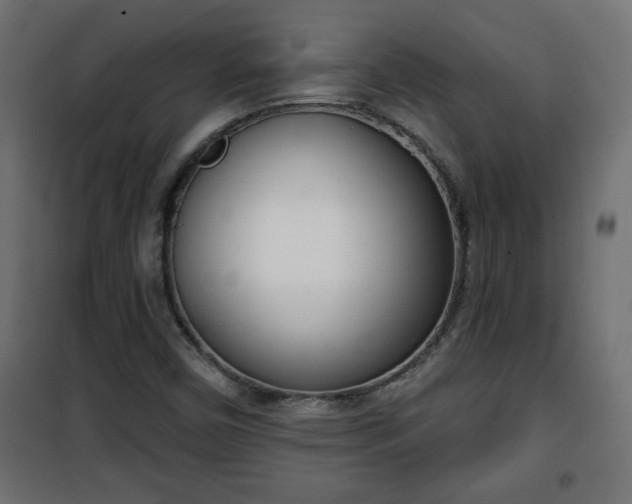 X0000101201450200807071303