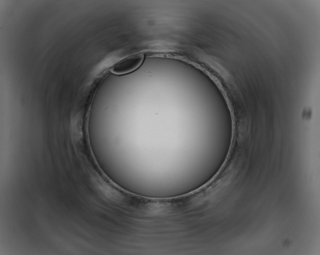 X0000101201451200807071303