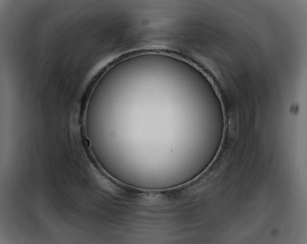 X0000101201452200807071303
