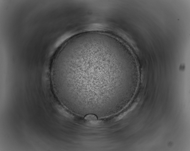 X0000101201453200807071303