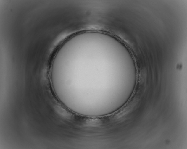 X0000101201454200807071303