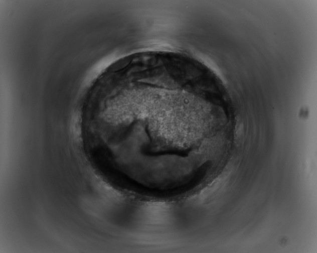X0000101201455200807071303