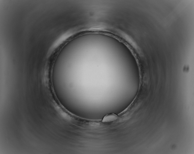 X0000101201456200807071303