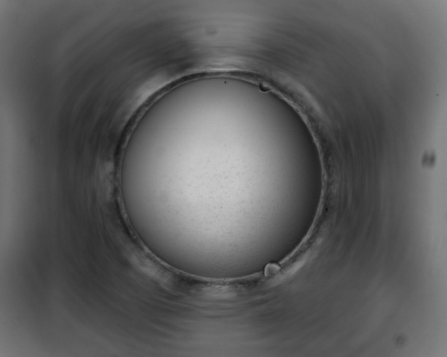 X0000101201457200807071303