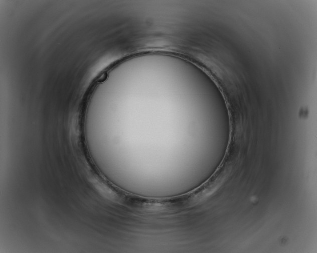 X0000101201458200807071303