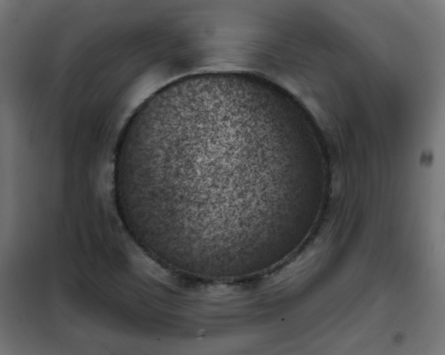 X0000101201459200807071303