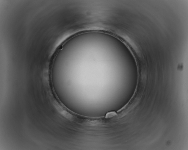 X0000101201460200807071303