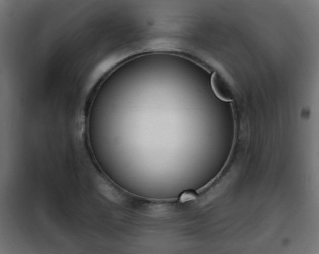 X0000101201461200807071303