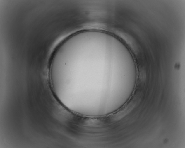 X0000101201462200807071303