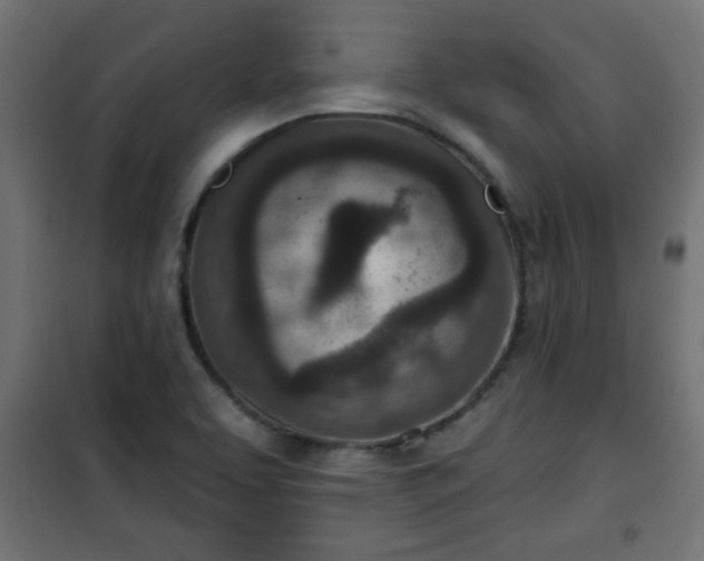X0000101201463200807071303