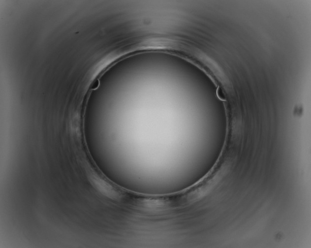 X0000101201465200807071303