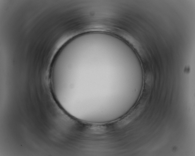 X0000101201466200807071303
