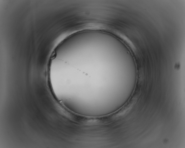 X0000101201467200807071303