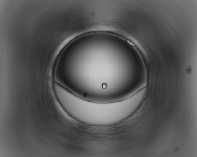 X0000101201468200807071303
