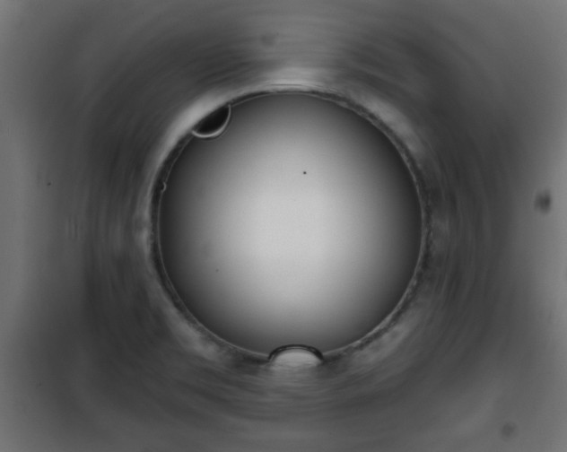 X0000101201469200807071303