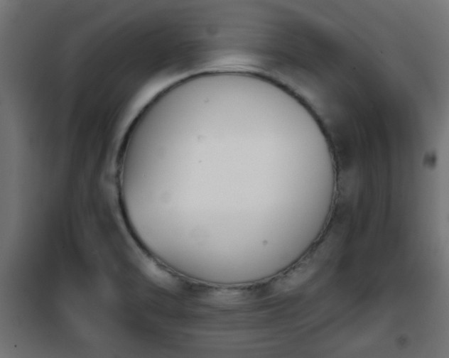 X0000101201470200807071303