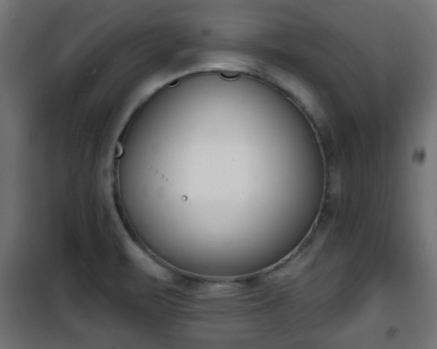 X0000101201471200807071303