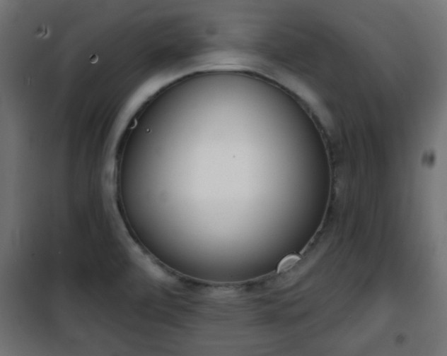 X0000101201472200807071303