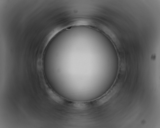 X0000101201473200807071303