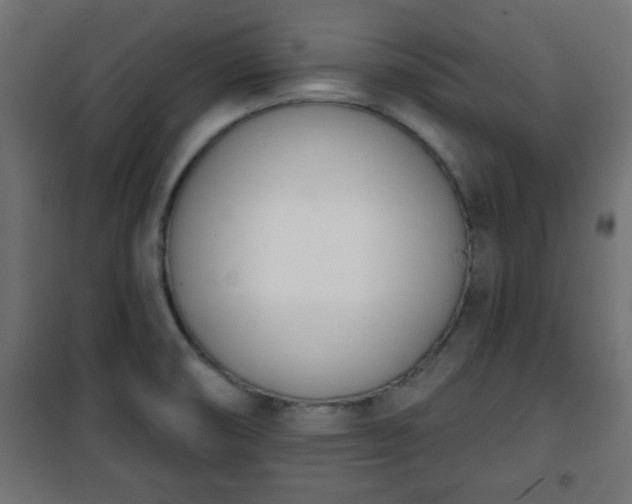 X0000101201474200807071303