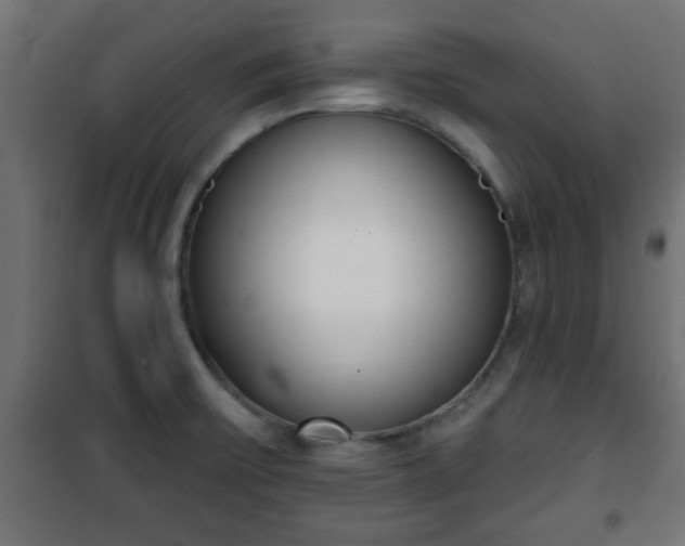 X0000101201475200807071303