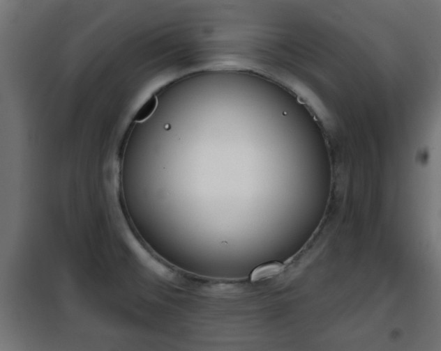 X0000101201476200807071303