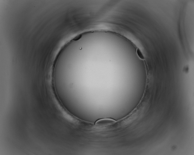 X0000101201477200807071303