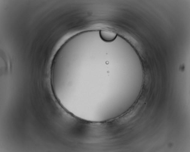 X0000101201478200807071303