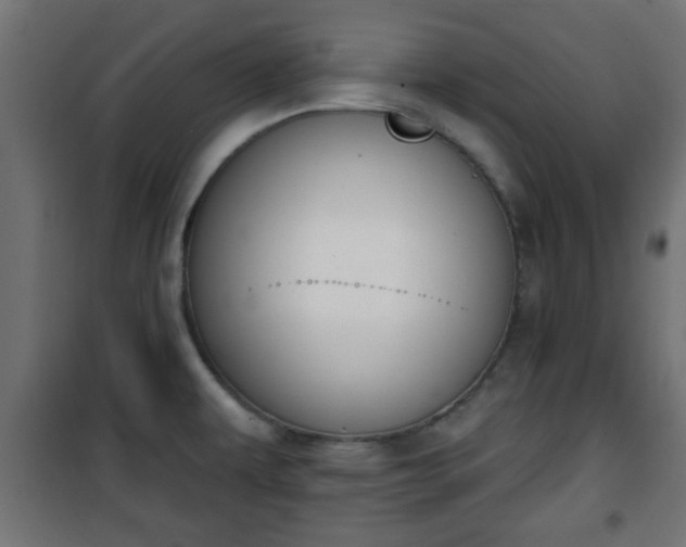 X0000101201479200807071303