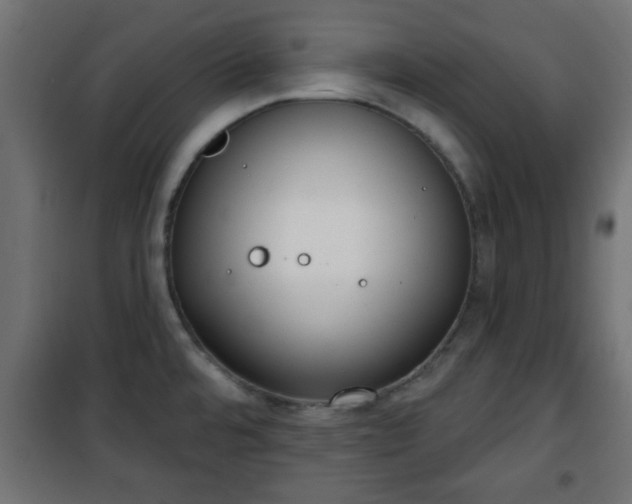 X0000101201480200807071303