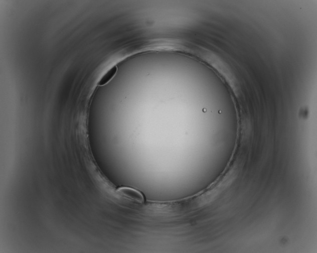 X0000101201481200807071303